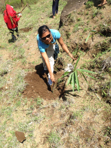 Murni Plantiing Bamboo in Songam Village