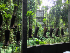 Even old gum boots are recycled for planters at RumahKompos
